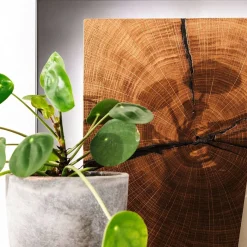 Best Design Wandregal mit Beleuchtung - Drinidad Regale