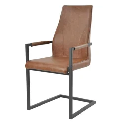 Best Freischwinger mit Armlehnen in Hellbraun - Dania (2er Set) Sessel