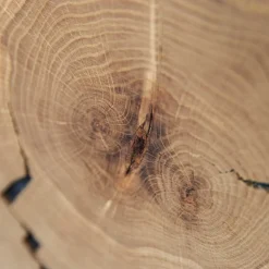 Sale Highboard Vitrine aus Eiche und Glas - Masicuri Highboards|Vitrinen