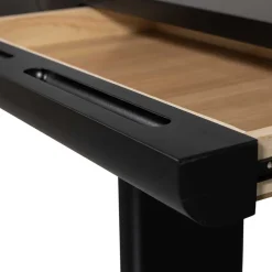 Ovaler Design Schreibtisch in Schwarz Holzoptik - Belinda Tische