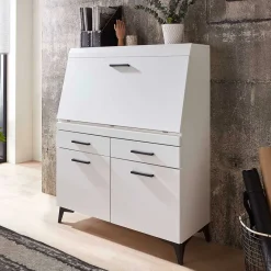 Online Schreibschrank mit Klappe & zwei Türen - Quakes Highboards|Tische