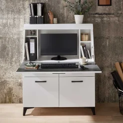 Online Schreibschrank mit Klappe & zwei Türen - Quakes Highboards|Tische