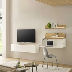 Best TV Board & Regal & Sekretär hängend - Nonessia (dreiteilig) Wohnwände