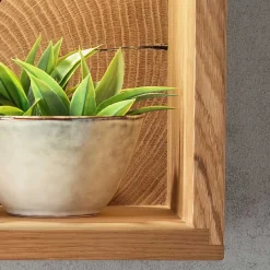 Best Wandregal 34x34x20 cm mit Rückwand - Acapella Regale