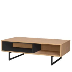 Best 110x55x38 Offenes Lowboard Regal in Eiche - Brausca Lowboards