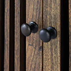 100x160x45 Wohnzimmerschrank mit zwei Türen - Charin Vitrinen